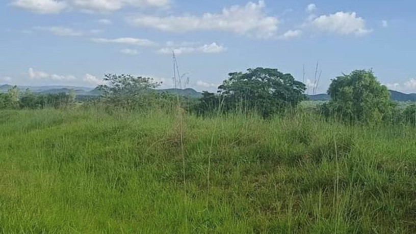 9-acre-plot-for-sale-in-mikango-barracks-big-2