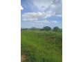 9-acre-plot-for-sale-in-mikango-barracks-small-2