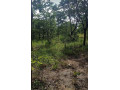 9-acre-plot-for-sale-in-mikango-barracks-small-3