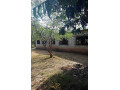 9-acre-plot-for-sale-in-mikango-barracks-small-4