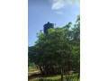 9-acre-plot-for-sale-in-mikango-barracks-small-0