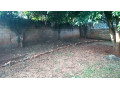 3-bedroom-house-for-sale-in-woodlands-extension-small-4