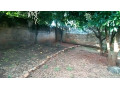 3-bedroom-house-for-sale-in-woodlands-extension-small-6