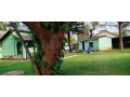 3-bedroom-house-for-sale-in-woodlands-small-3