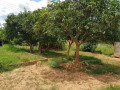 plot-for-sale-in-nkana-east-kitwe-small-9