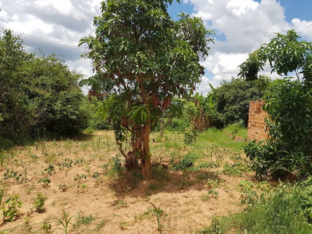 plot-for-sale-in-nkana-east-kitwe-big-0