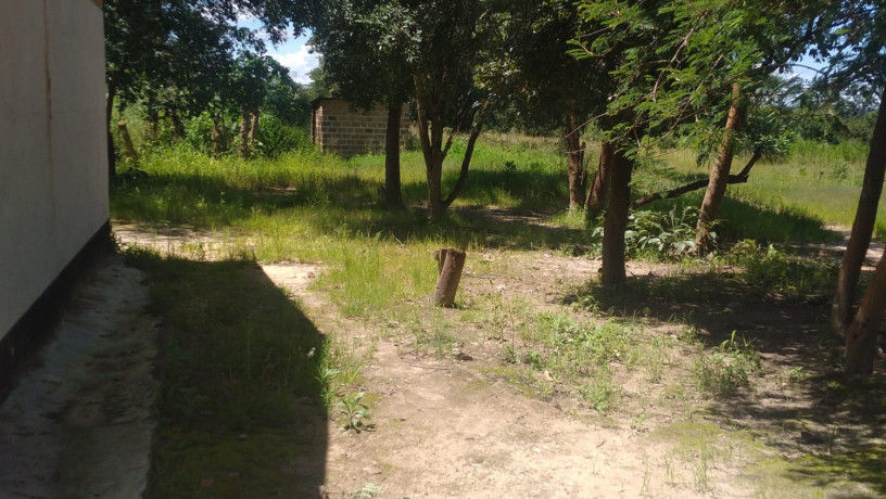 fully-developed-farm-for-sale-in-kitwe-big-7