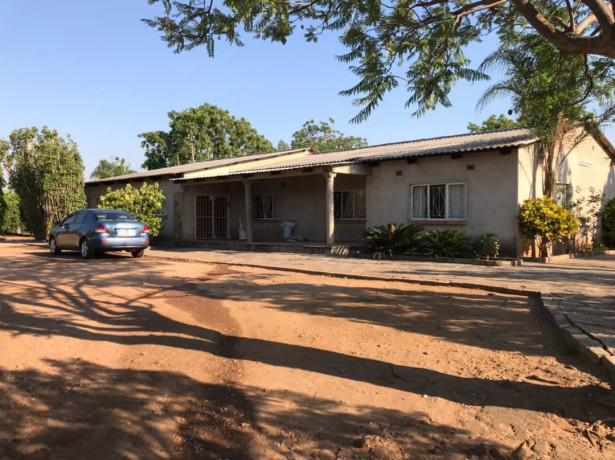 3-hectares-farm-for-rent-in-shimabala-big-5