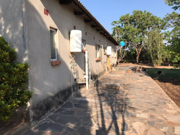 3-hectares-farm-for-rent-in-shimabala-big-4