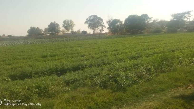 farm-for-sale-in-makeni-big-3