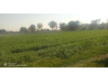 farm-for-sale-in-makeni-small-3