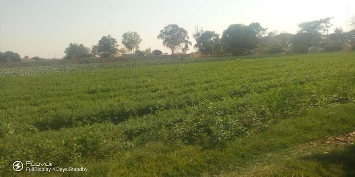 farm-for-sale-in-makeni-big-2