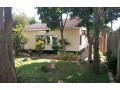 office-space-for-rent-in-ibex-hill-small-1