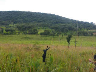 990 Hectares Land For Sale in Solwezi