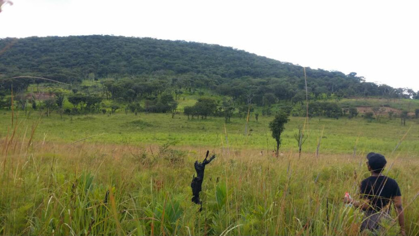 990-hectares-land-for-sale-in-solwezi-big-0