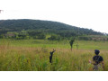 990-hectares-land-for-sale-in-solwezi-small-0