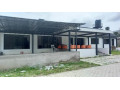 office-space-for-rent-in-olympia-small-2