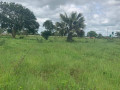 land-for-sale-in-makeni-small-0