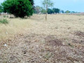 land-for-sale-in-makeni-small-1