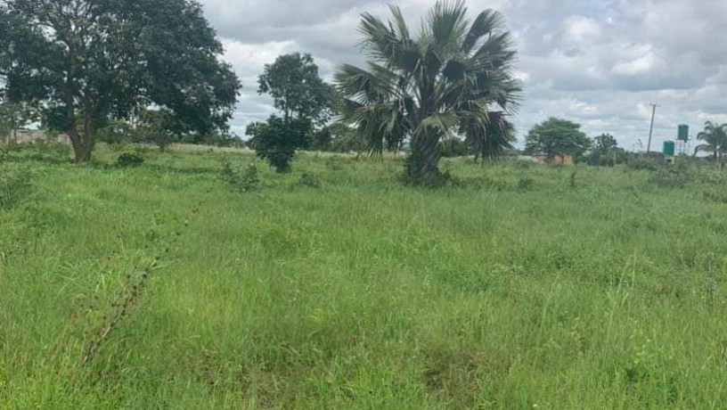 land-for-sale-in-makeni-big-0