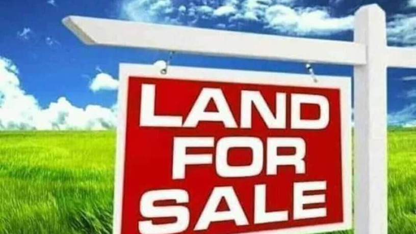 land-for-sale-in-makeni-big-2