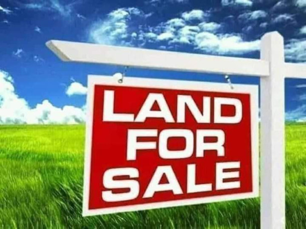 land-for-sale-in-makeni-big-2