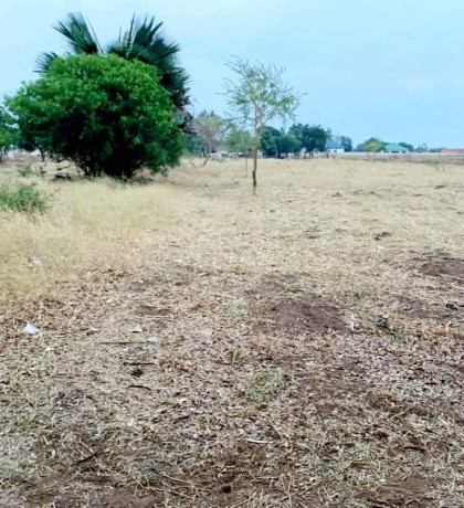 land-for-sale-in-makeni-big-1