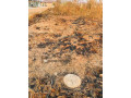 20m-by-30m-plot-for-sale-in-meanwood-ibex-small-2