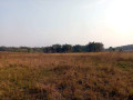 farm-for-sale-in-chingola-small-3