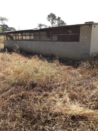 farm-for-sale-in-chingola-big-1