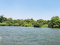 2-islands-for-sale-on-upper-zambezi-small-6