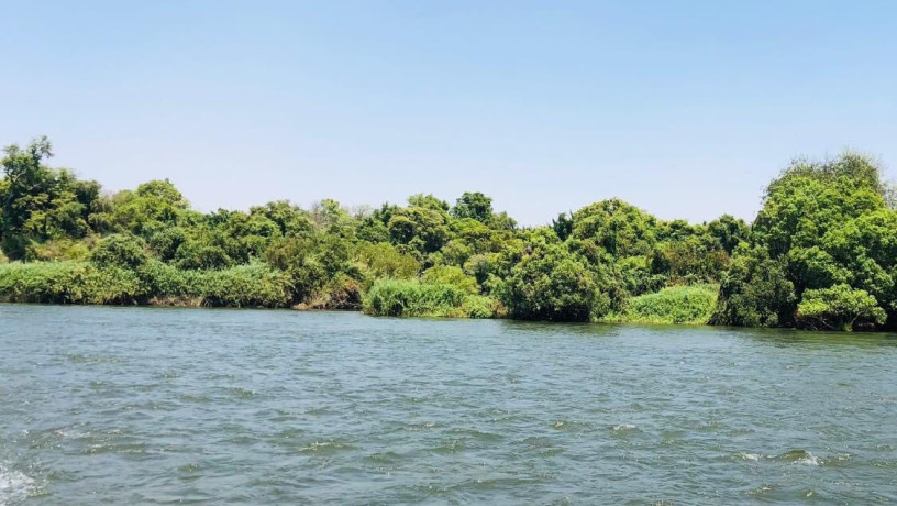 2-islands-for-sale-on-upper-zambezi-big-6