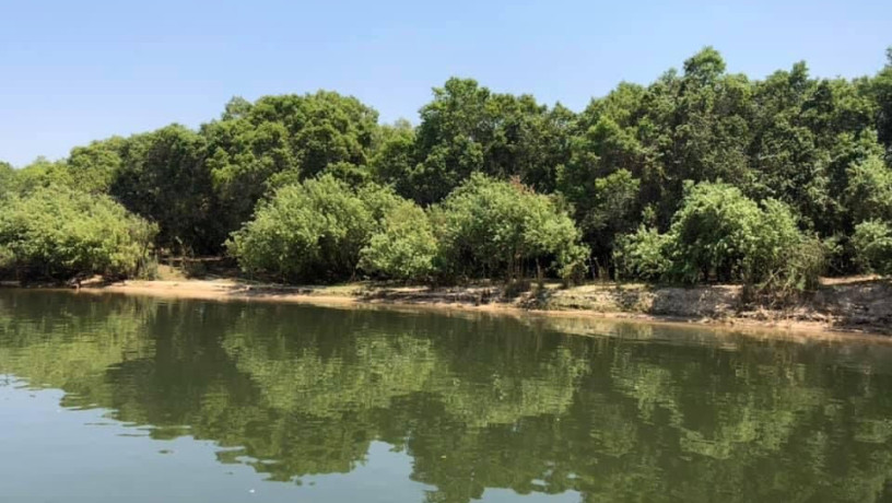 2-islands-for-sale-on-upper-zambezi-big-4