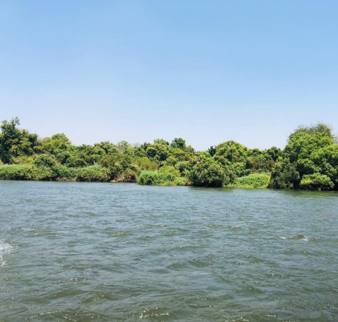 2-islands-for-sale-on-upper-zambezi-big-6