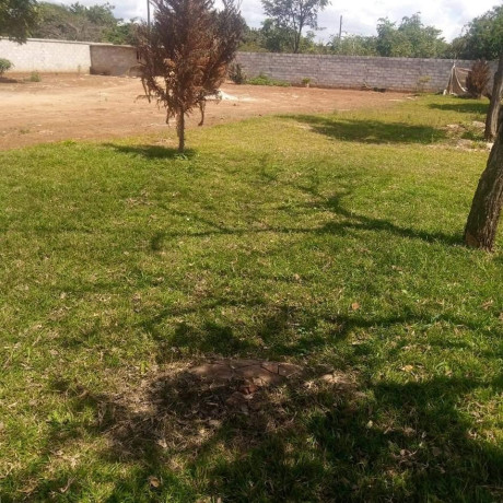40m-by-50m-plot-for-sale-in-ibex-hill-big-0
