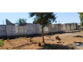 5-bedroom-house-for-sale-in-ibex-meanwood-small-6