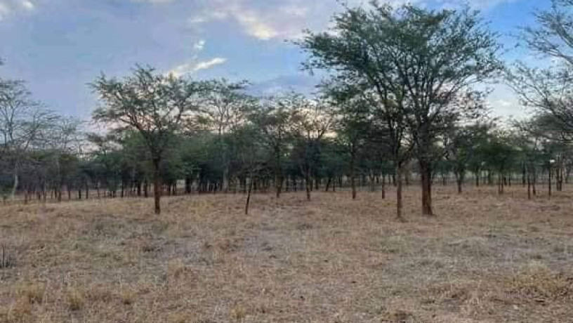 5-acres-land-for-sale-in-lilayi-big-2