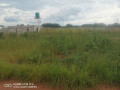 plots-for-sale-in-lilayi-small-1