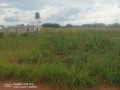 plots-for-sale-in-lilayi-small-2