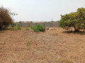 plot-for-sale-in-lilayi-small-1