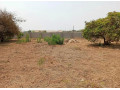 plot-for-sale-in-lilayi-small-1