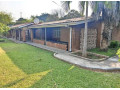 5-bedroom-house-for-rent-in-ibex-hill-small-3