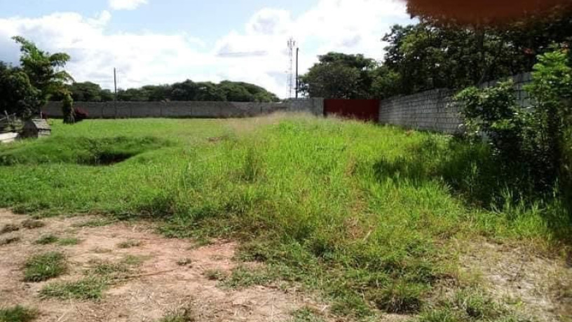 65m-by-40m-plot-for-sale-in-ibex-hill-big-3