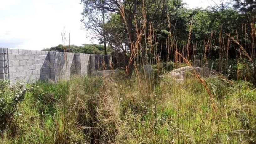 65m-by-40m-plot-for-sale-in-ibex-hill-big-2