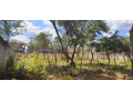 70m-by-30m-plot-for-sale-in-ibex-hill-small-0