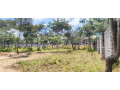 70m-by-30m-plot-for-sale-in-ibex-hill-small-2