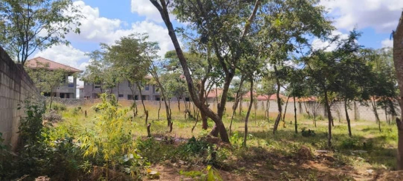 70m-by-30m-plot-for-sale-in-ibex-hill-big-0