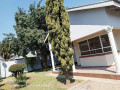 3-bedroom-standalone-house-for-rent-in-libala-small-5