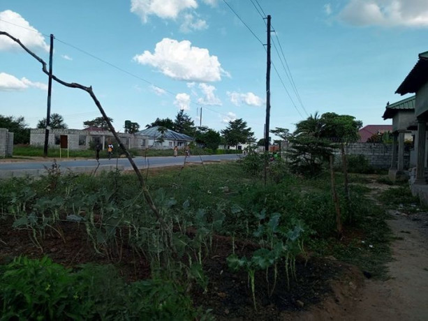 3-bedroom-flats-for-sale-in-chamba-valley-big-1