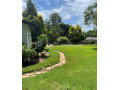 5-bedroom-house-for-rent-in-kabulonga-small-6